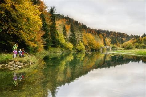 selva de irati verano|10 lugares que ver en la Selva de Irati y alrededores + Consejos